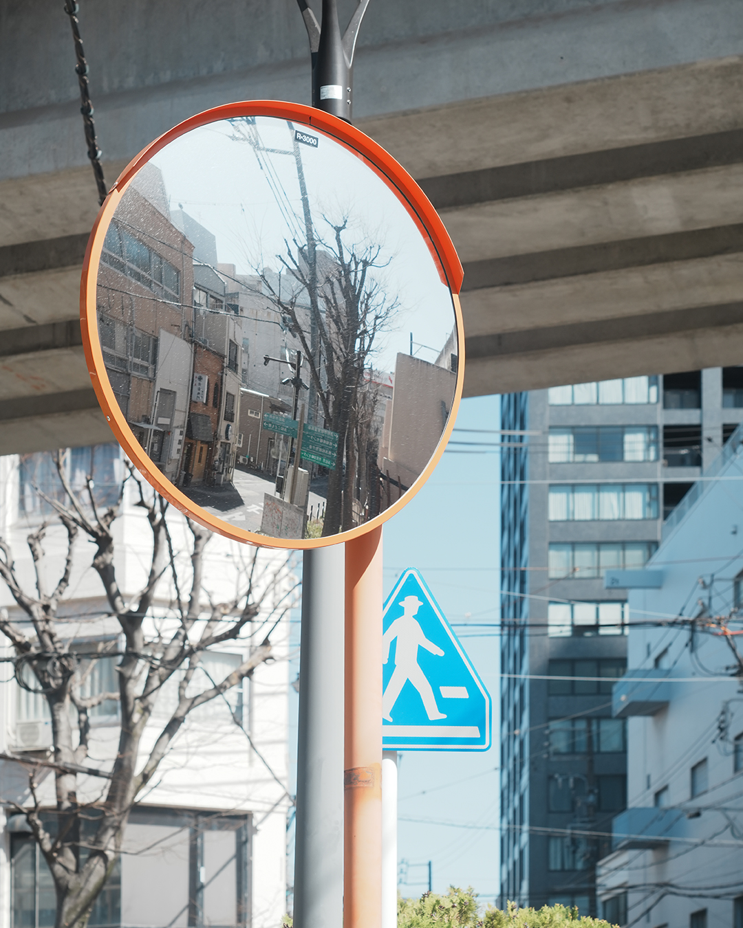 ASAHI PENTAX Super Takumar 55mm F1.8 オールドレンズ sony a7IVでの作例2