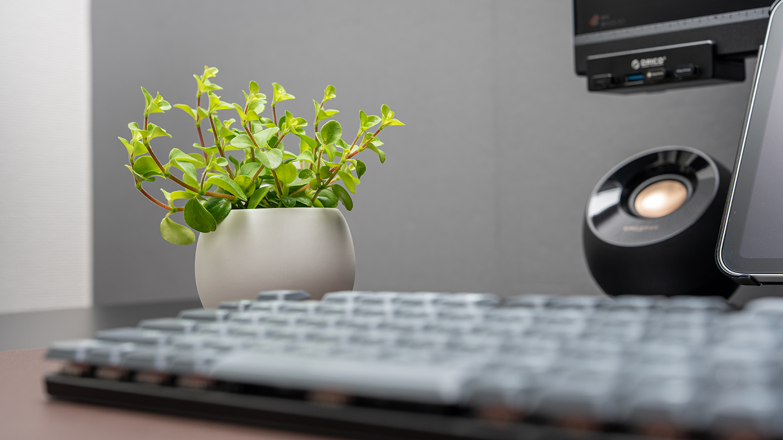 無印良品 アクアポット ペペロミア デスク上に設置イメージ